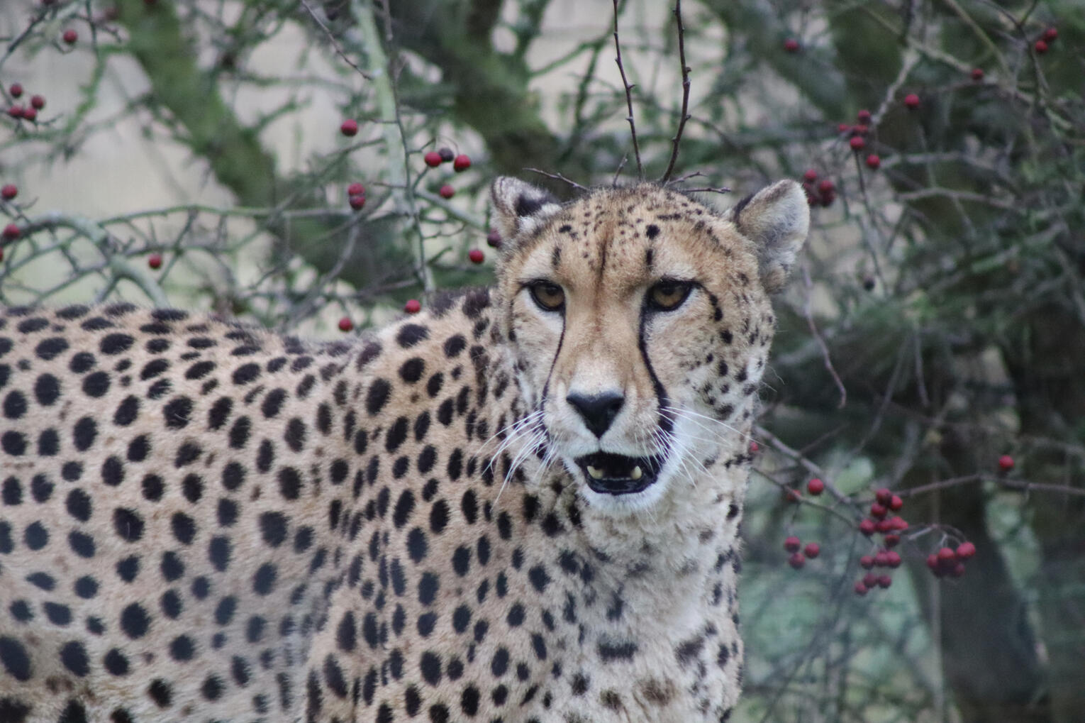Untitled Untitled