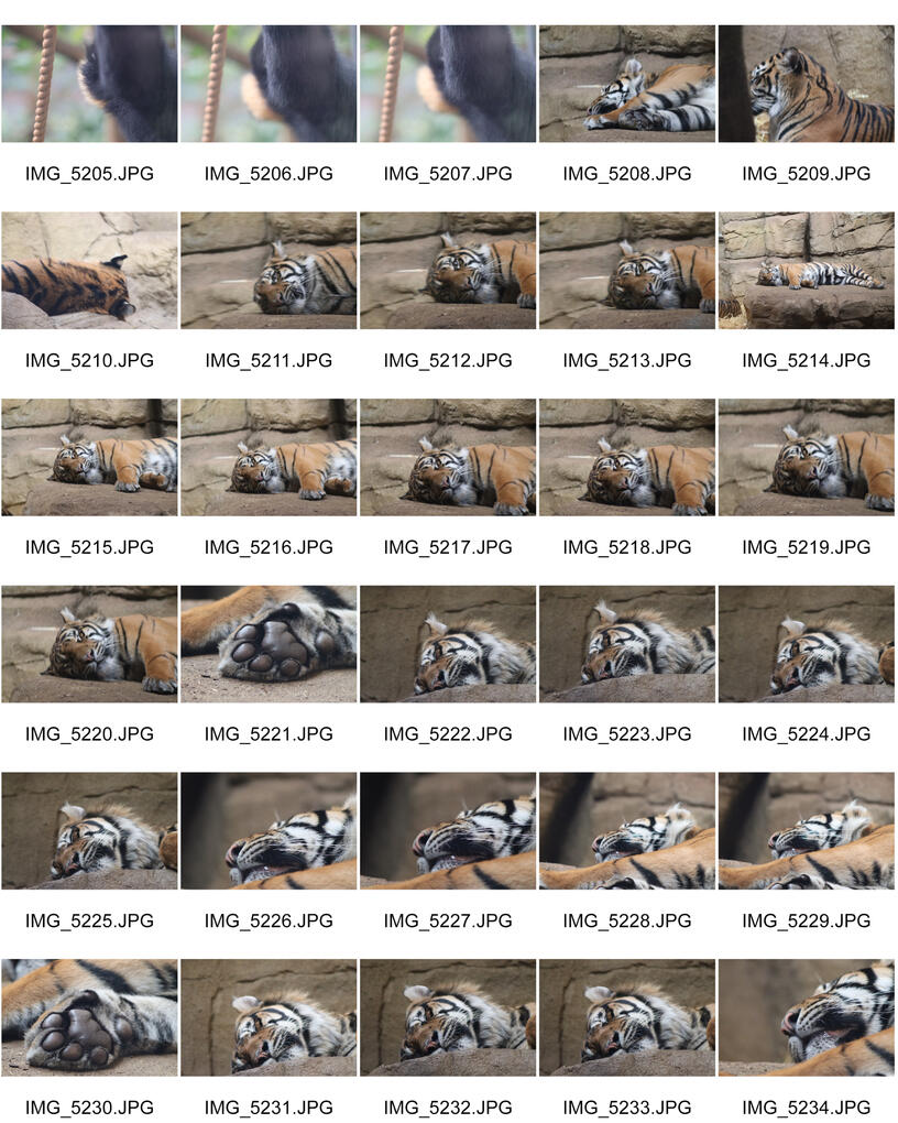 Untitled Untitled