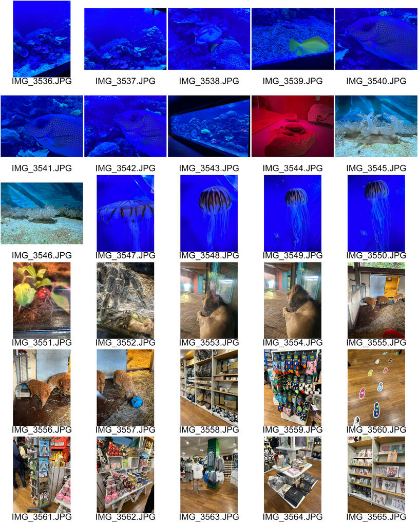 Untitled Untitled