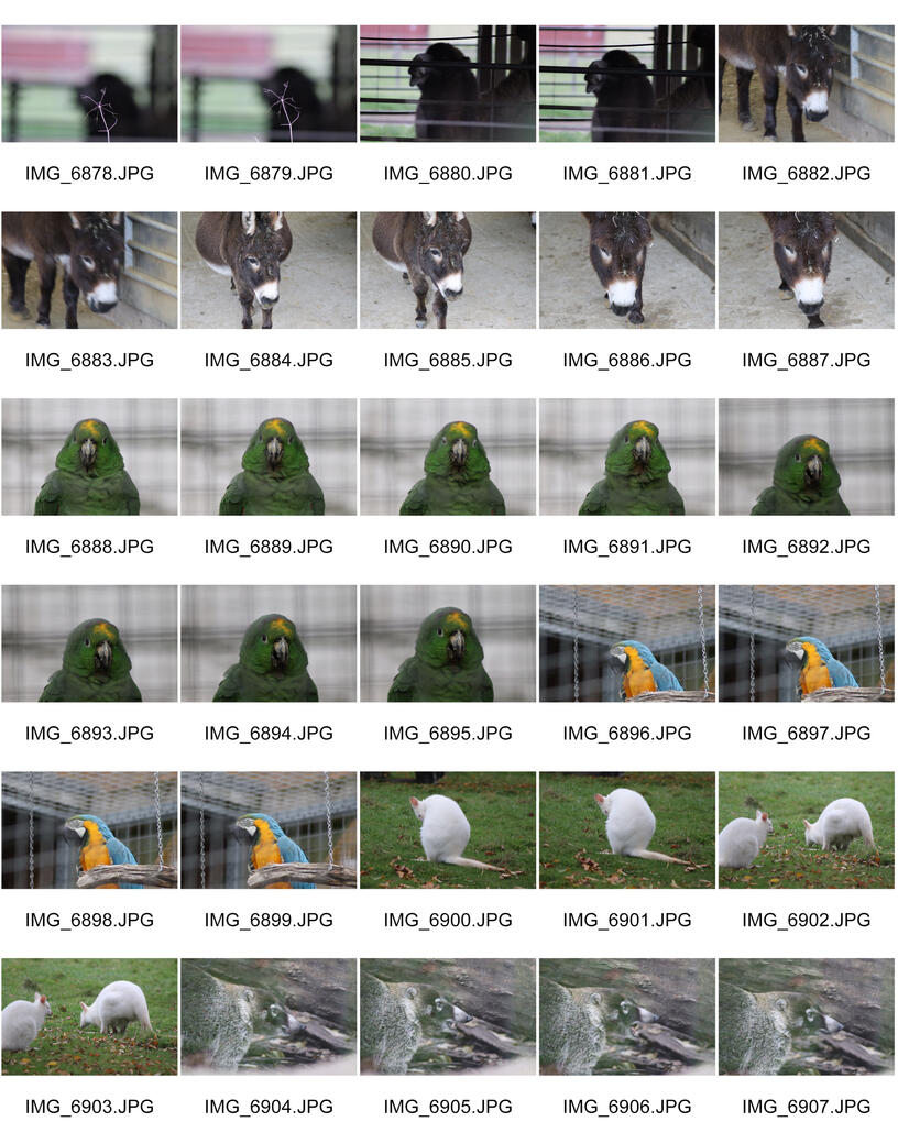 Untitled Untitled