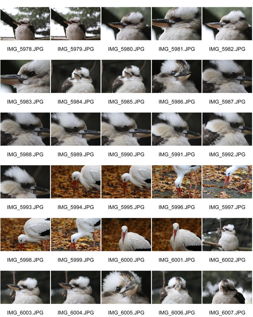 Untitled Untitled