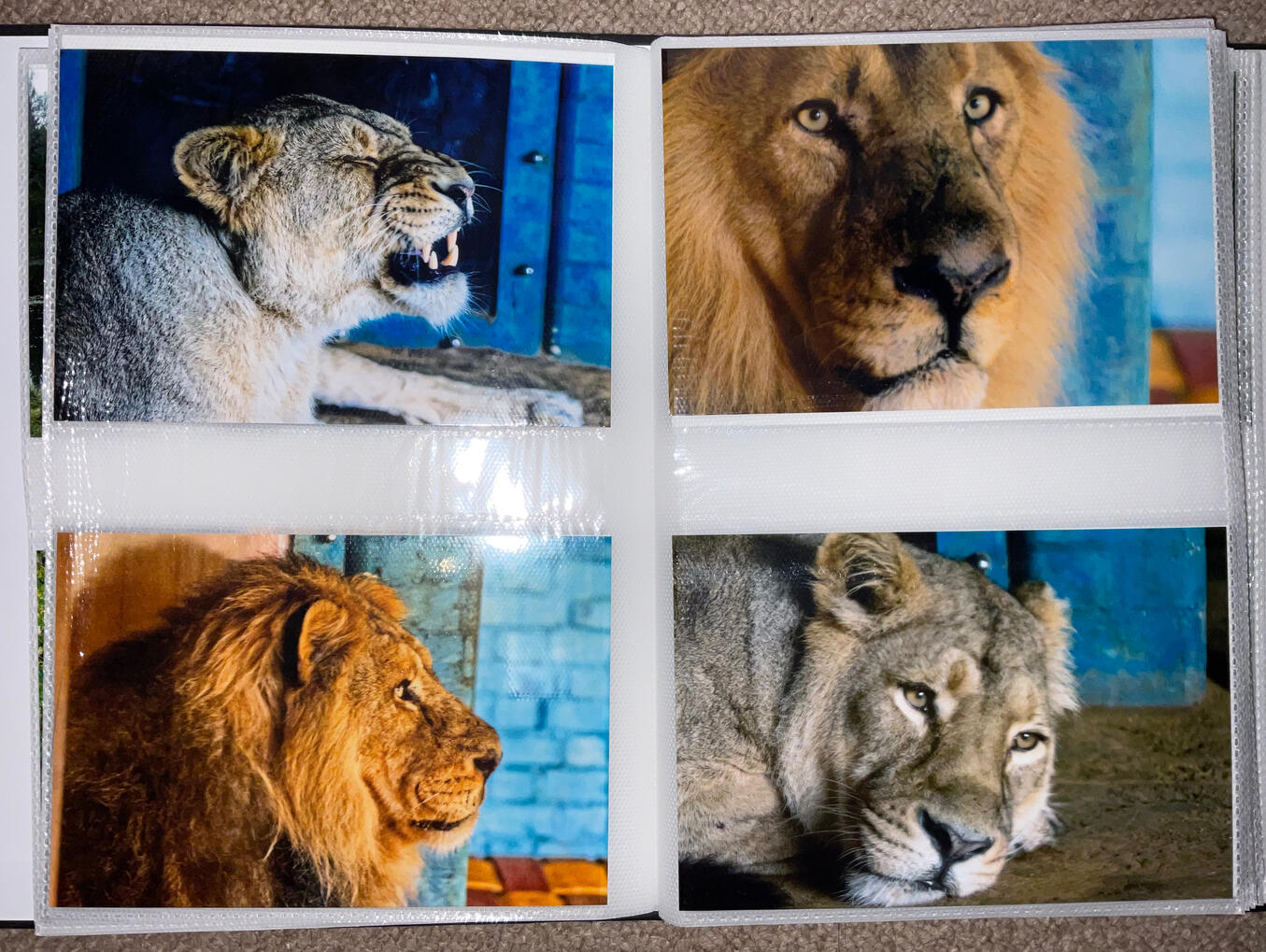 Postcard - £2.50