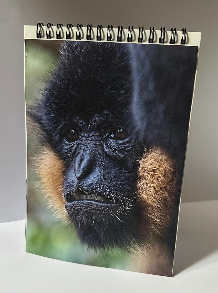 Notebook - £6.50