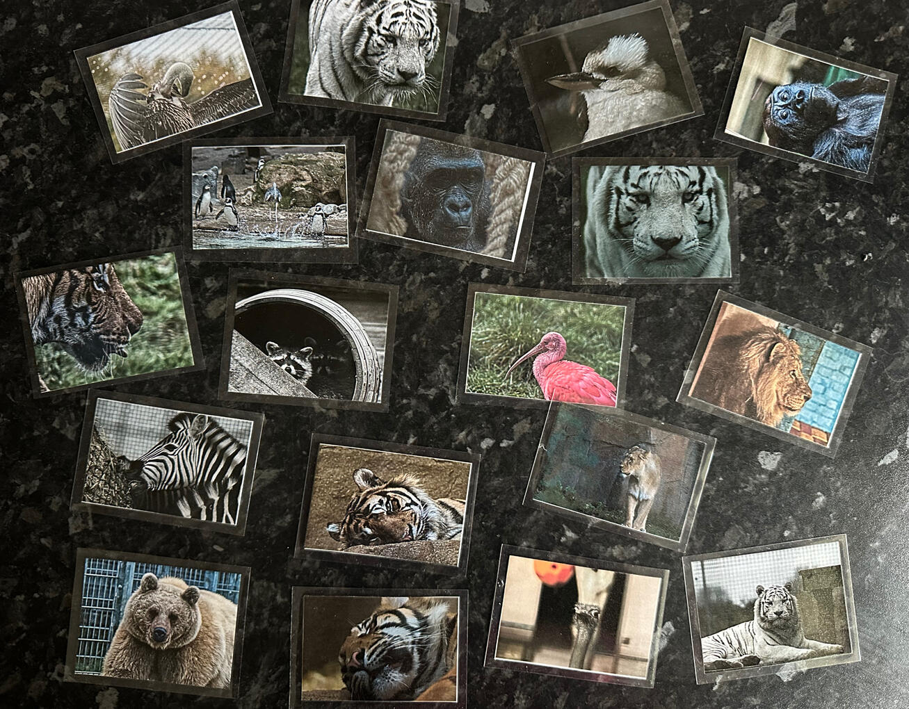 Magnet - £3.50