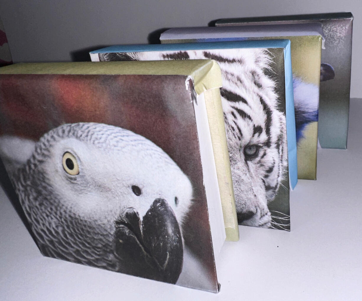 Mini Square Notebook - £4.50