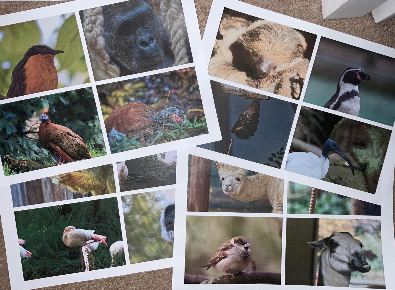 Initial print outs