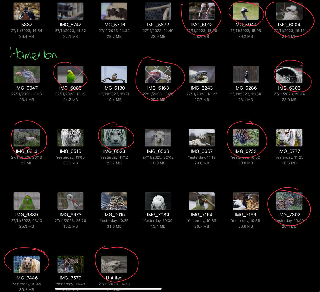 Decisions for book pages