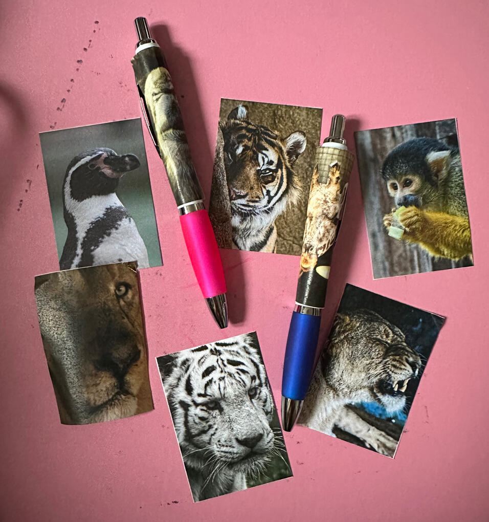 Pen Nets