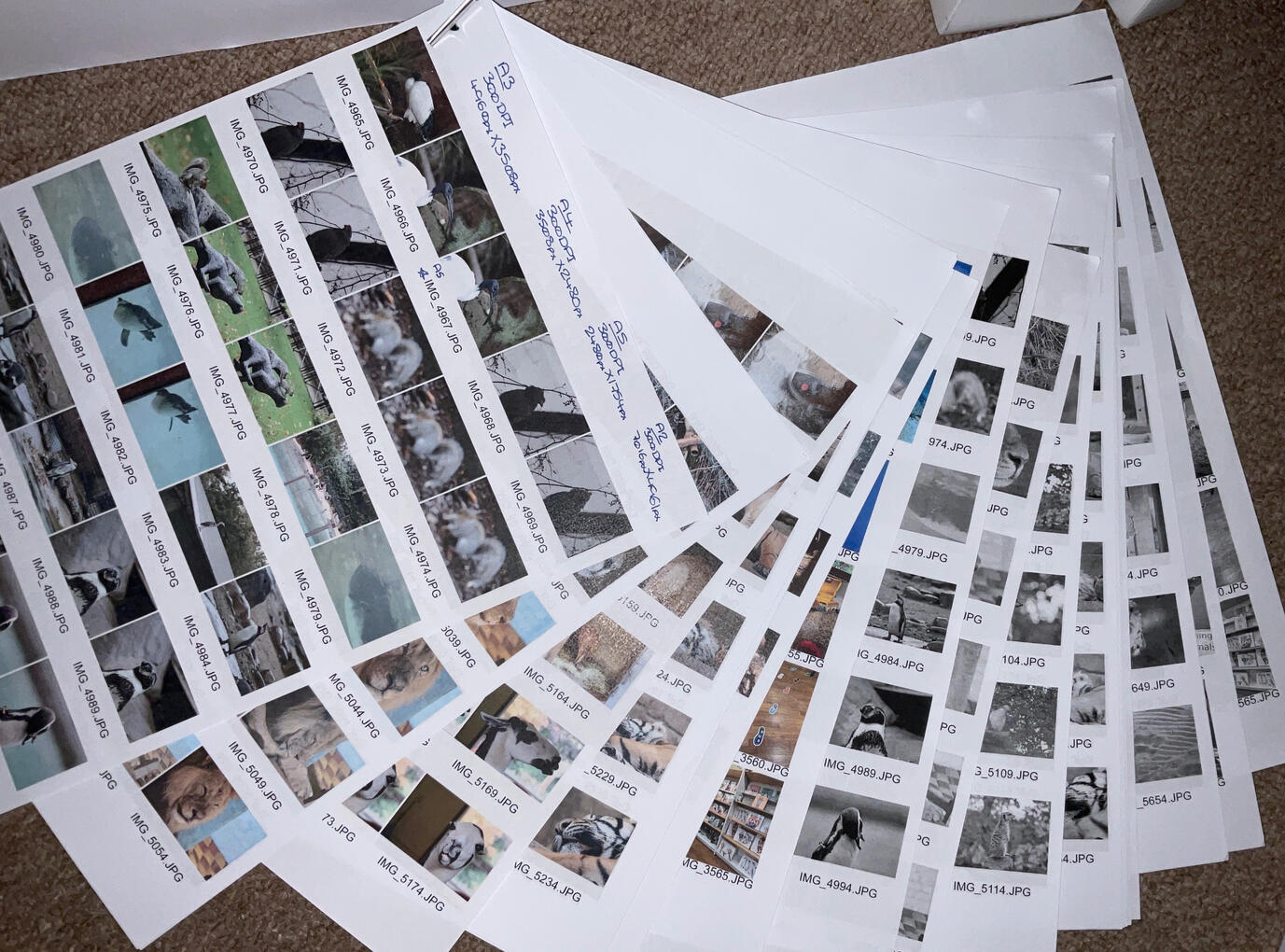 Contact Sheets