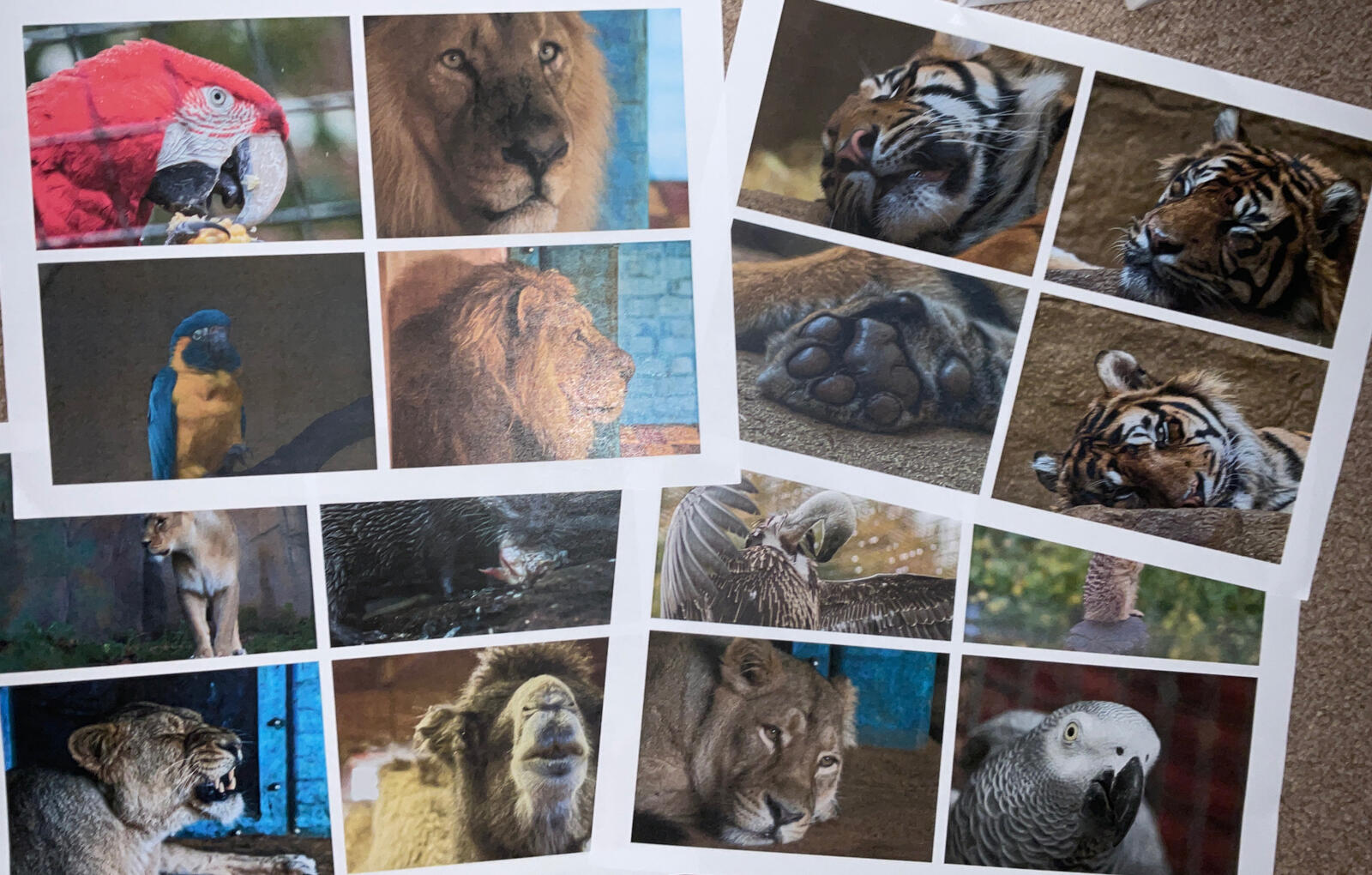 Print outs to show peers for feedback