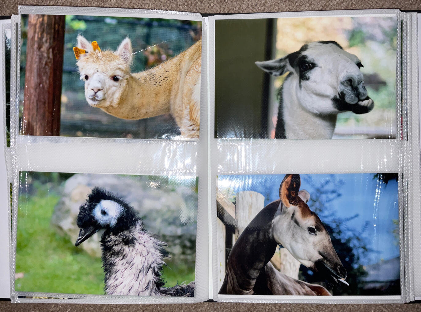 Postcards
