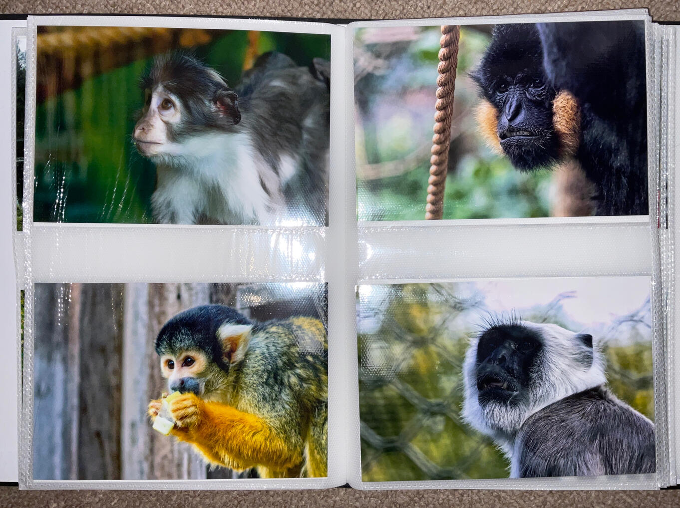 Professional print-outs