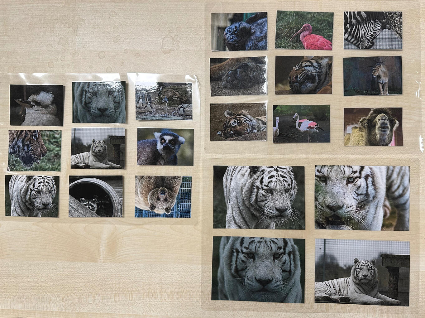 Pre-cut ‘magnets’