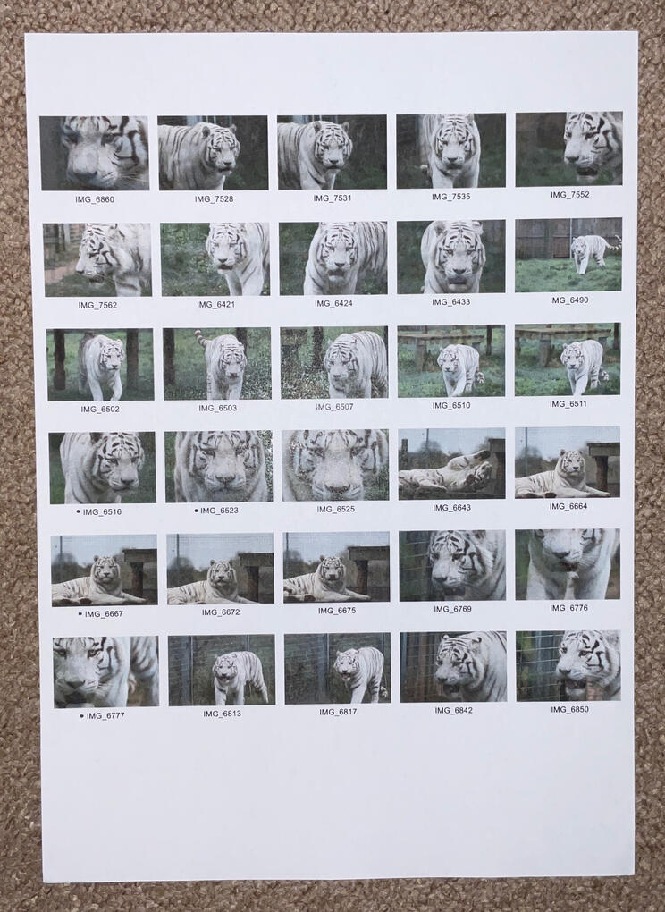 Deciding Best Images